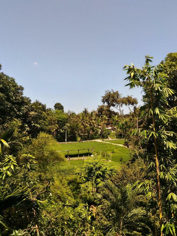 Prasanti Bed&Breakfast Ubud  Bagian luar foto